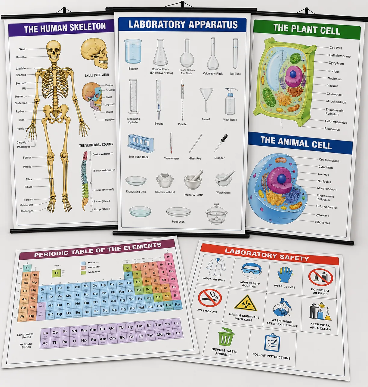 Laboratory Charts