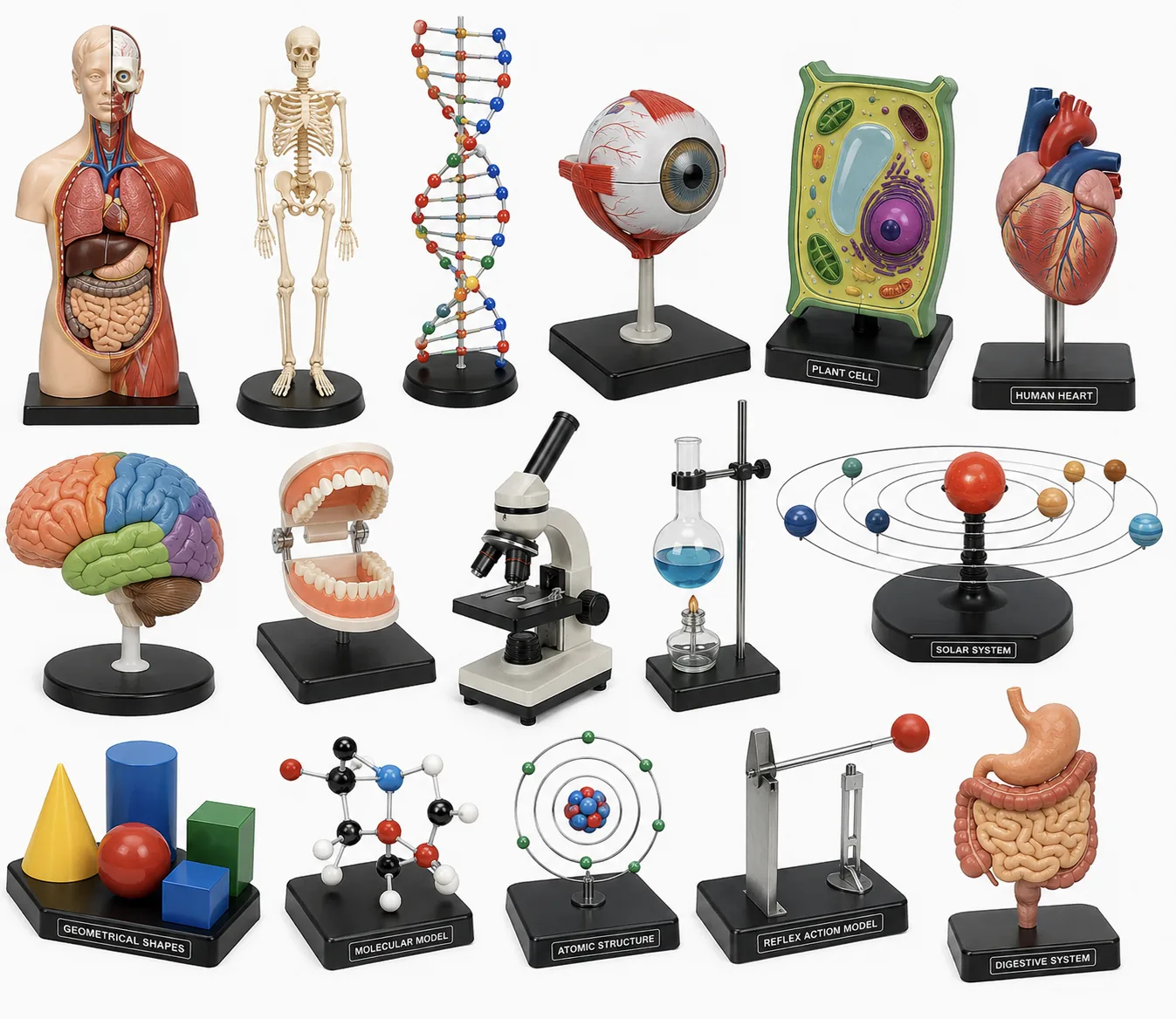 Laboratory Models